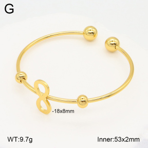 2BA202074vail-423  Stainless Steel Bangle