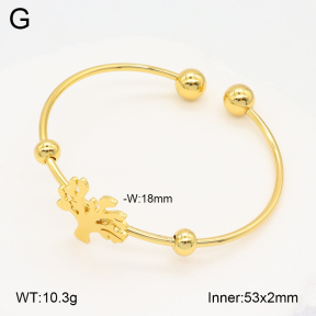 2BA202075vail-423  Stainless Steel Bangle