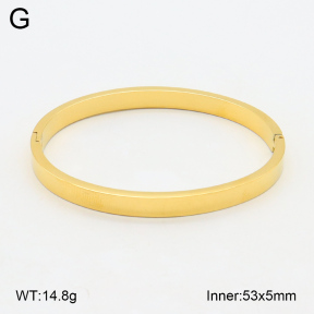 2BA202078ablb-423  Stainless Steel Bangle