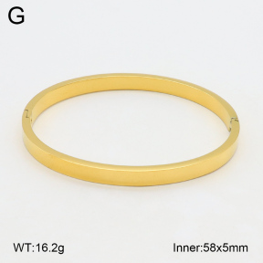 2BA202080ablb-423  Stainless Steel Bangle