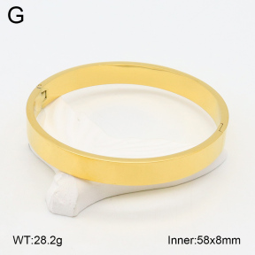 2BA202082vbnb-423  Stainless Steel Bangle