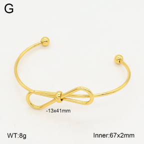 2BA202086baka-423  Stainless Steel Bangle