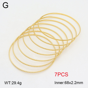 2BA202088ahlv-423  Stainless Steel Bangle