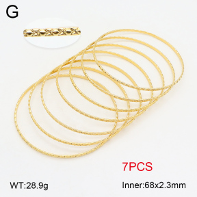 2BA202089ahlv-423  Stainless Steel Bangle