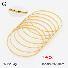 2BA202090ahlv-423  Stainless Steel Bangle