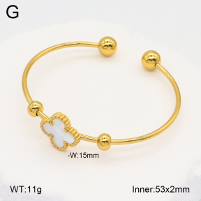 2BA300480avja-423  Stainless Steel Bangle