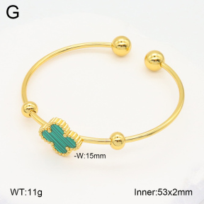 2BA402290avja-423  Stainless Steel Bangle