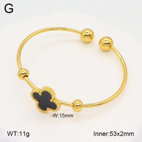 2BA402291avja-423  Stainless Steel Bangle