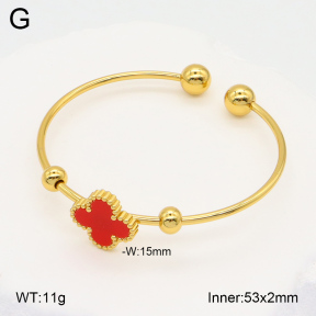 2BA402292avja-423  Stainless Steel Bangle
