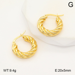 2E2006011baka-423  Stainless Steel Earrings