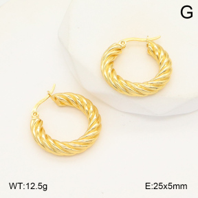 2E2006012baka-423  Stainless Steel Earrings