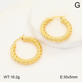2E2006013baka-423  Stainless Steel Earrings
