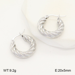 2E2006014aajo-423  Stainless Steel Earrings