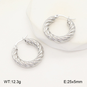 2E2006015aajo-423  Stainless Steel Earrings