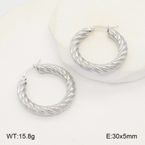 2E2006016aajo-423  Stainless Steel Earrings