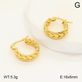 2E2006017aajl-423  Stainless Steel Earrings