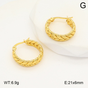 2E2006018aajl-423  Stainless Steel Earrings
