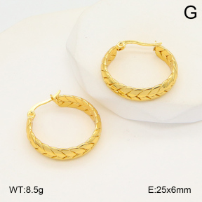 2E2006019aajo-423  Stainless Steel Earrings