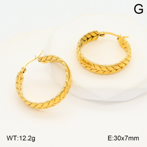 2E2006020aajo-423  Stainless Steel Earrings