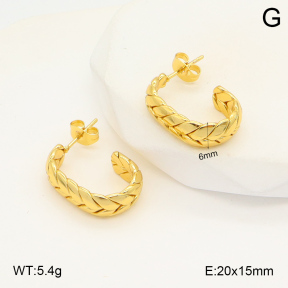 2E2006021baka-423  Stainless Steel Earrings