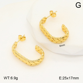 2E2006022baka-423  Stainless Steel Earrings