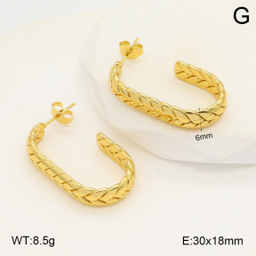 2E2006023baka-423  Stainless Steel Earrings