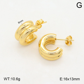 2E2006024baka-423  Stainless Steel Earrings