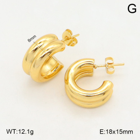 2E2006025baka-423  Stainless Steel Earrings