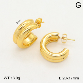 2E2006026baka-423  Stainless Steel Earrings