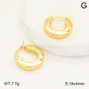 2E2006027avja-423  Stainless Steel Earrings