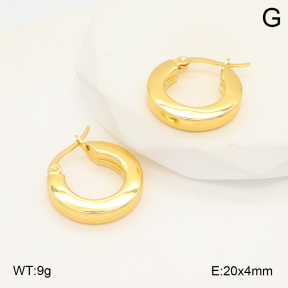 2E2006028avja-423  Stainless Steel Earrings