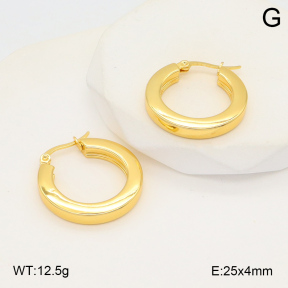 2E2006029aaji-423  Stainless Steel Earrings