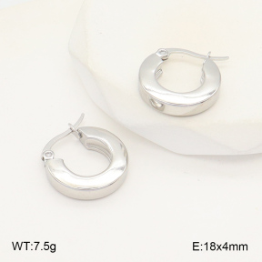 2E2006031aaio-423  Stainless Steel Earrings
