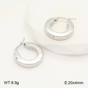 2E2006032aaio-423  Stainless Steel Earrings