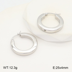 2E2006033avja-423  Stainless Steel Earrings