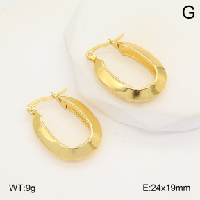 2E2006035aajl-423  Stainless Steel Earrings