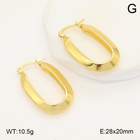 2E2006036aajl-423  Stainless Steel Earrings