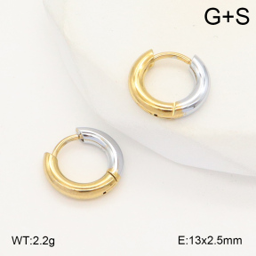2E2006037aaio-423  Stainless Steel Earrings