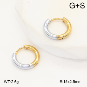 2E2006038aaio-423  Stainless Steel Earrings