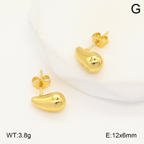 2E2006040aajl-423  Stainless Steel Earrings