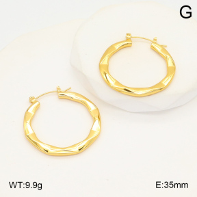 2E2006042vail-423  Stainless Steel Earrings