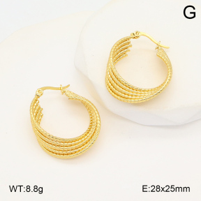 2E2006045ablb-423  Stainless Steel Earrings