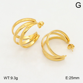 2E2006047aajl-423  Stainless Steel Earrings