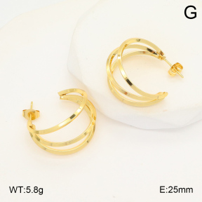 2E2006048aajl-423  Stainless Steel Earrings