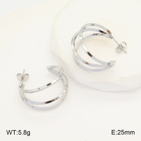 2E2006049vajj-423  Stainless Steel Earrings