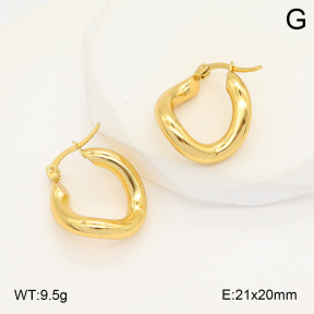 2E2006051aajl-423  Stainless Steel Earrings