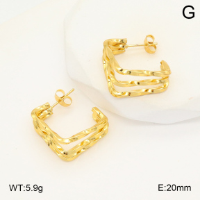 2E2006052aajl-423  Stainless Steel Earrings