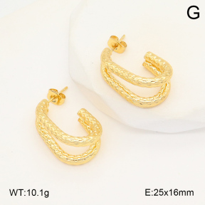 2E2006053avja-423  Stainless Steel Earrings