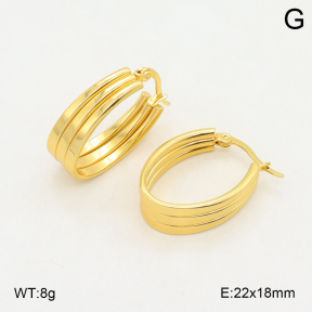 2E2006057aajl-423  Stainless Steel Earrings