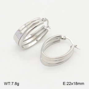 2E2006058vajj-423  Stainless Steel Earrings